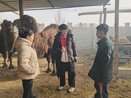 马子航在养殖棚内拍摄短视频

