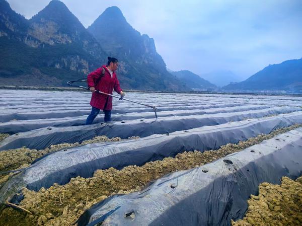 图为井窖打制现场。陆启祯 摄