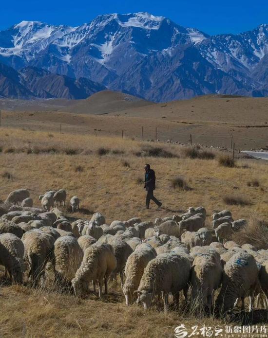 7ccfa494b5024e015854b96a42b42d57