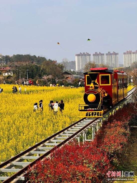 坛厂神采八卦园油菜花田景色