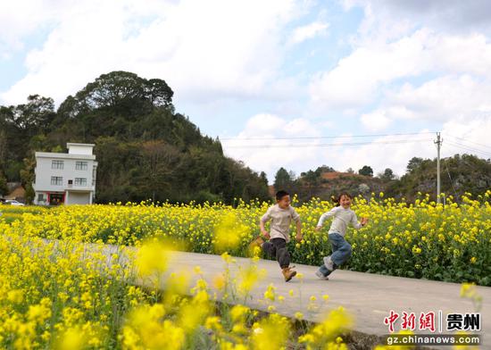 独山县2000亩油菜花迎来盛花期 独山县2000亩油菜花迎来盛花期
