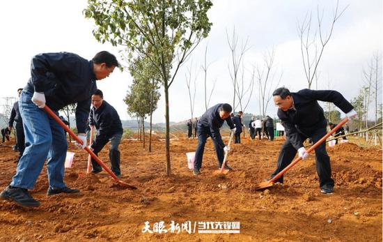 图为省委书记徐麟，省委副书记、省长李炳军，省政协主席赵永清在贵阳市双龙航空港经济区小碧乡秦棋村义务植树活动。
