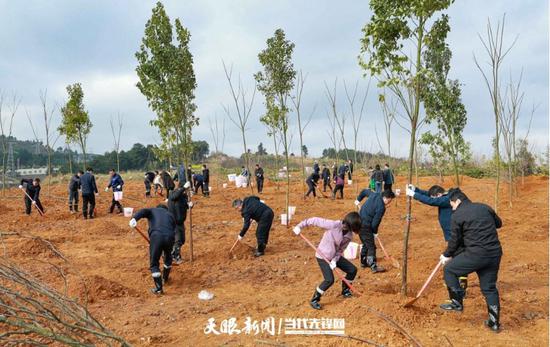 图为贵阳市双龙航空港经济区小碧乡秦棋村义务植树活动现场。