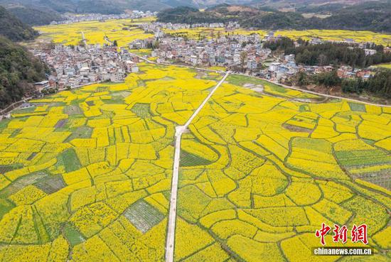 贵州省从江县洛香镇上皮林村的油菜花田。