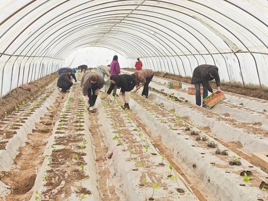 1284c010312af451bb4ed7dbc54c4a59