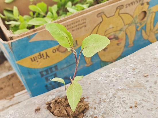 06116c758245821a7452d802214d31eb