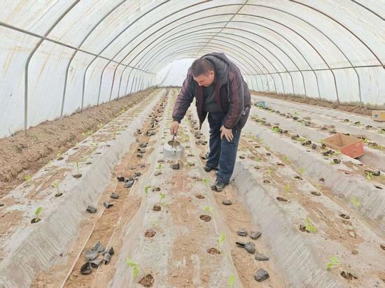 e8fedf8263a7a4be06557d75391690b4