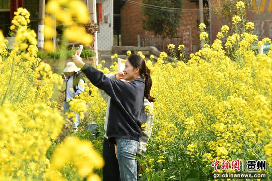 游客在油菜花田拍照打卡