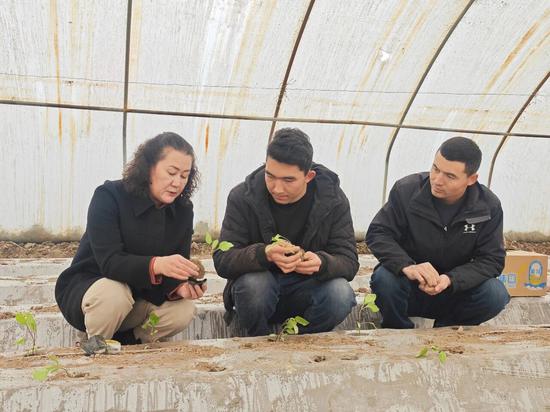 879969f041cb195c048ce4725b6a8901