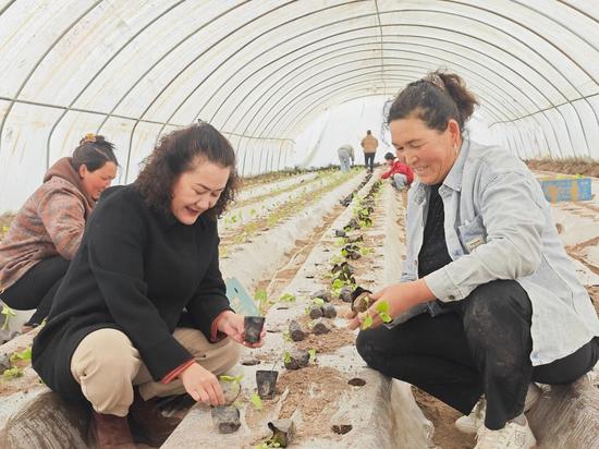 eb75c90a79a19627be65ef365489b683