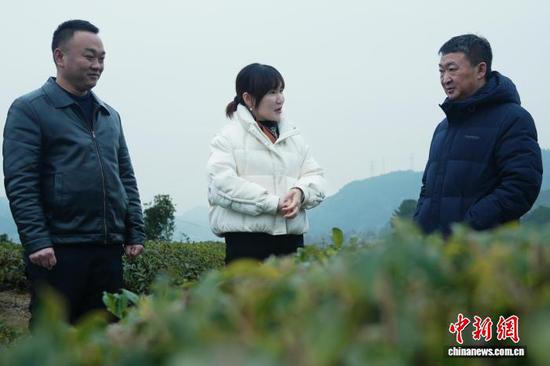 张尤慧(中)在德江县调研当地的茶产业(资料图)。受访者 供图
