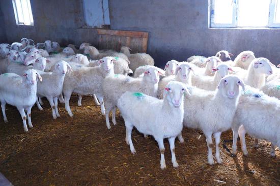 ab93aae71cd4d49ebd9e91d78cc782e2