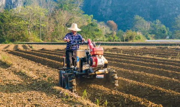 靖西市地州镇鲁利村、连片烟田起垄现场。范敏 摄 靖西市地州镇鲁利村、连片烟田起垄现场。范敏 摄