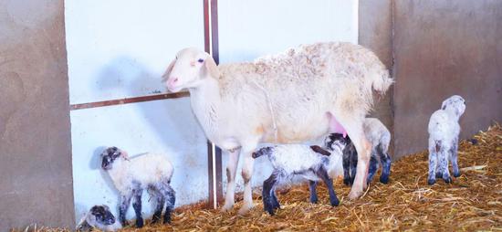 f5e4dbca0756a8bd56099912452da313