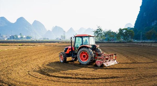 靖西市新靖镇亮表村那都屯烟田整地现场。沈志程 摄 靖西市新靖镇亮表村那都屯烟田整地现场。沈志程 摄