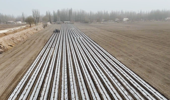 6c7db150384f1b30409752178a917a4d