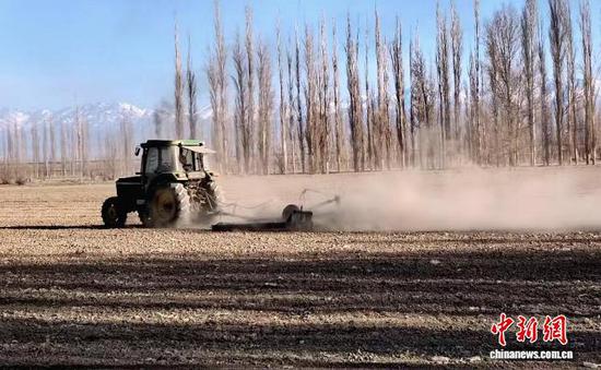 红星二场正在耕地。韩冰洁 摄