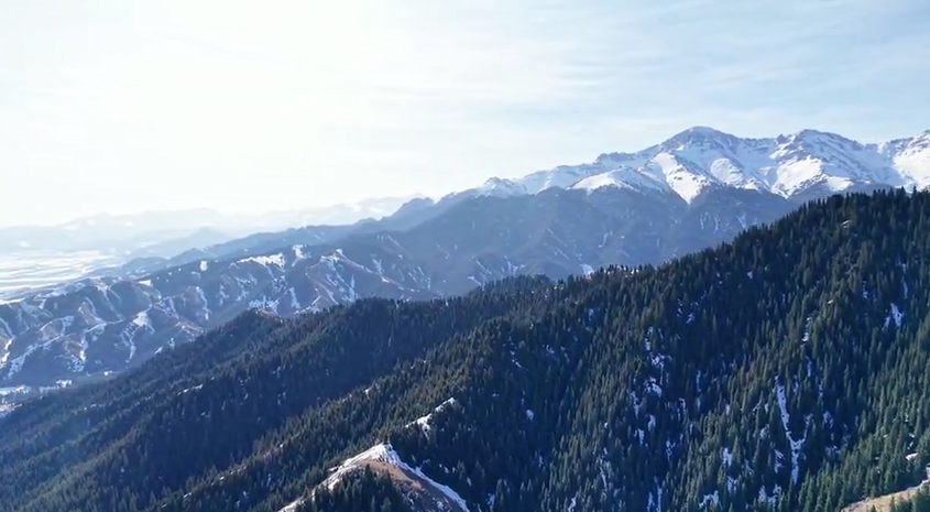 新疆吉木萨尔：春日雪韵映林海 静谧村落卧天山