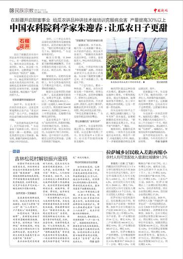 中国农科院科学家朱迎春：让瓜农日子更甜