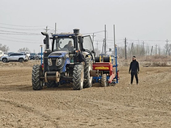 3月9日，精河县茫丁乡北地东村的千亩麦田里，种植户居马洪·阿西木抢抓农时，忙着播种春小麦。农技人员来到春播作业现场，指导科学种植，为粮食丰产丰收保驾护航。阿曼·景克斯 摄