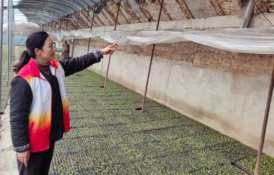 7217ecb1-0ca9-4e36-bef4-a087be455c14