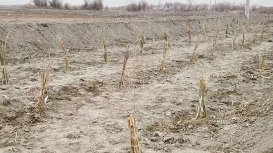 7db728178eac9414e3b13786776b65d7