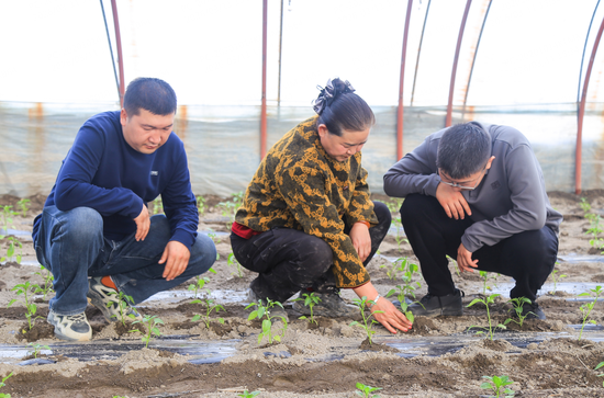 461b3a11f15ff02d2c16c8247e813998