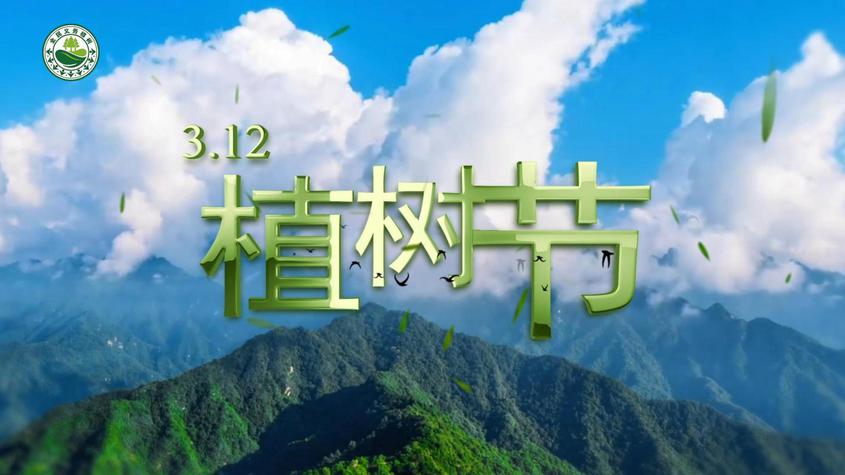 履行植树义务，共建美丽新疆