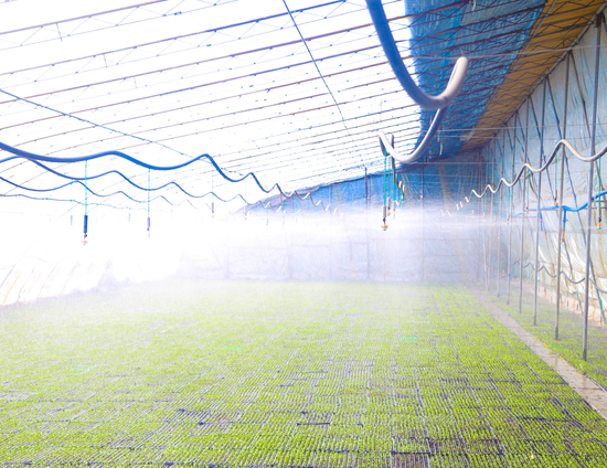 ac28c136079624d741bcb41cac73666c