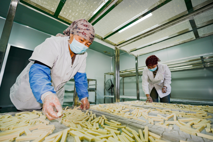 从“摘帽”到“振兴” 昌吉州木垒县奶香飘出致富路 　