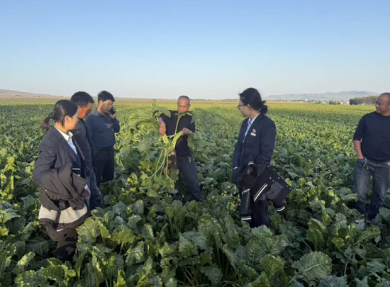 工商银行伊宁支行客户经理走进田间地头开展“甜菜贷”贷后服务（2025年9月23日摄）。e