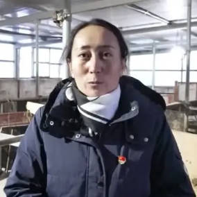 【侨的故事】泥地里“长”出的“石榴花”