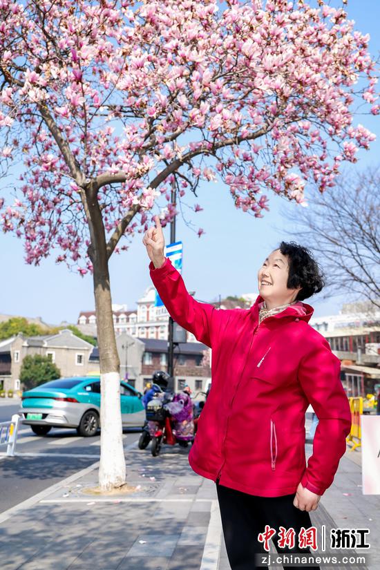 市民在“爱心玉兰树”前打卡。&nbsp;杭州市综合行政执法局(杭州市城市管理局)供图