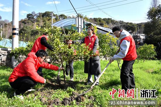 植树活动现场。&nbsp;农行温州分行&nbsp;供图