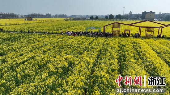 活动现场。&nbsp;临平区委宣传部供图