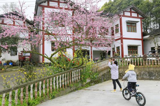 香凤协作助力凤冈和美乡村建设。凤冈县何坝街道凌云村美丽“美丽庭院”一景。饶云 摄