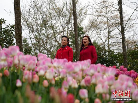连日来,随着气温逐渐回暖,位于贵州省黔南布依族苗族自治州龙里县龙架山国家森林公园的9万余株郁金香陆续进入盛花期,吸引市民、游客前来踏青赏花。图为3月14日,游客在龙架山国家森林公园里观赏郁金香。石小杰 摄 连日来,随着气温逐渐回暖,位于贵州省黔南布依族苗族自治州龙里县龙架山国家森林公园的9万余株郁金香陆续进入盛花期,吸引市民、游客前来踏青赏花。图为3月14日,游客在龙架山国家森林公园里观赏郁金香。石小杰 摄