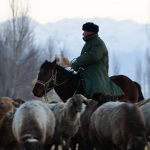 【侨的故事】羊倌和他的三个女儿
