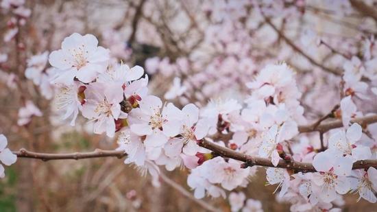 3552690d44c4fd97ef5160025b69fc2c