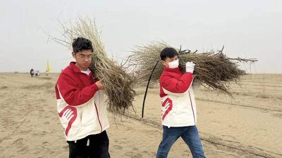 志愿者将树苗扛到植树点。努尔古再丽 摄a