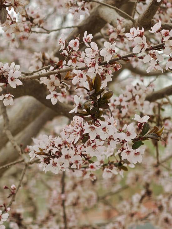 2f3b1e617e6e270ae138de9886c1c861