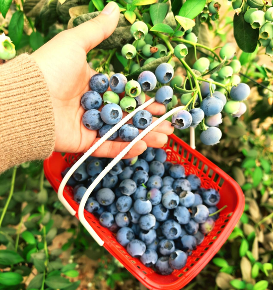 32c36c351a70a9fe641ccd4d0e75edad