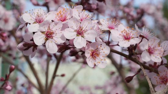 3311ae7f037ee71e44865901977a4dbd