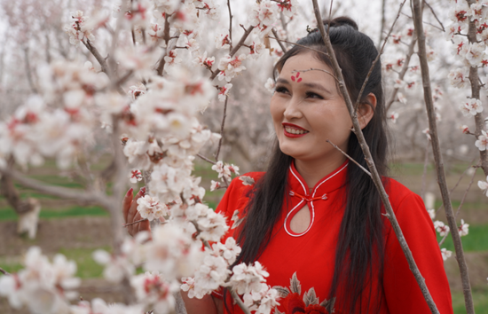 皮山融媒体中心图