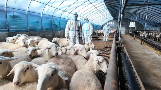 2dfaaaca7b7618b38db6b826e9300ff8