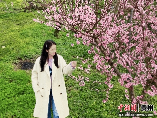 贵阳市乌当区偏坡布依族乡的田野间桃花盛开