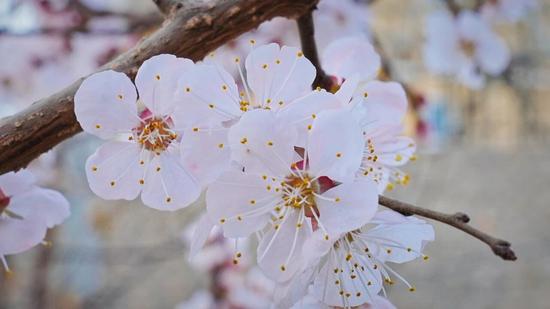 4bc0cc4e0631ee8d3d5a19e4fdac9d55