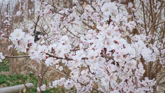 6aa8f255f15f173a6119188f5ed49f54