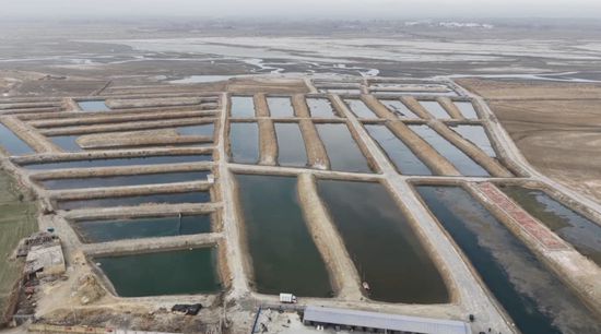 a6fdb8a1c9ccd554971970d562a56a14