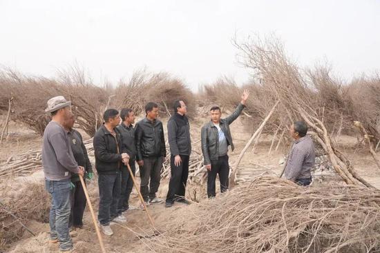 林果技术员为种植户提供技术指导。阿卜力克木·依卜拉依木 摄